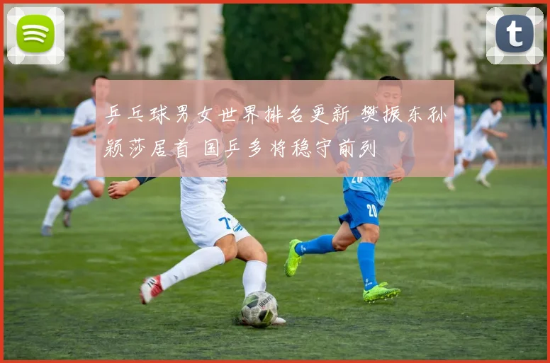 乒乓球男女世界排名更新 樊振东孙颖莎居首 国乒多将稳守前列