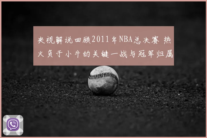 央视解说回顾2011年NBA总决赛 热火负于小牛的关键一战与冠军归属