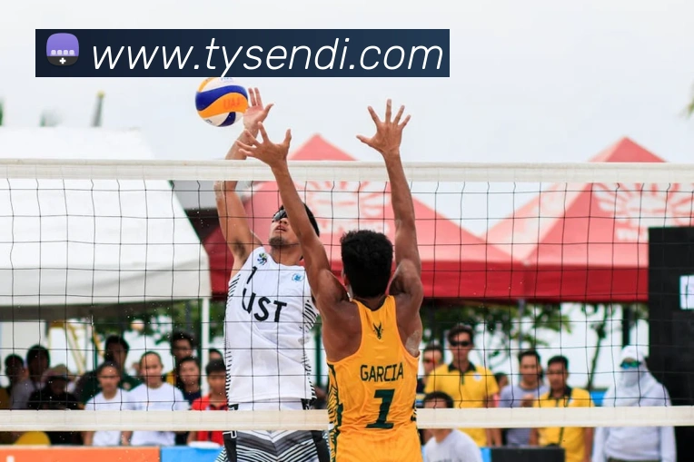 App Interface Preview